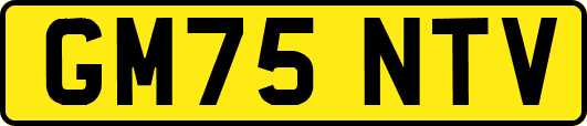 GM75NTV