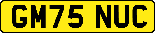 GM75NUC