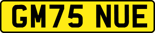 GM75NUE