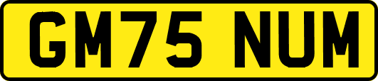 GM75NUM