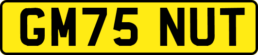GM75NUT