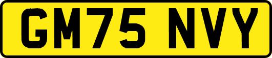 GM75NVY