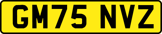 GM75NVZ