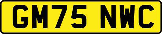 GM75NWC