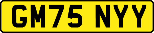 GM75NYY