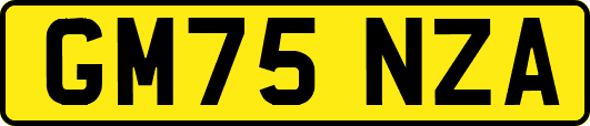 GM75NZA
