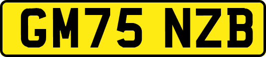 GM75NZB