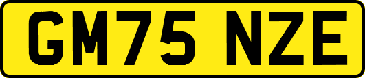 GM75NZE