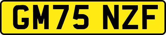 GM75NZF