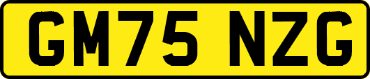 GM75NZG
