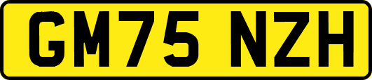 GM75NZH