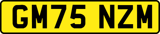 GM75NZM