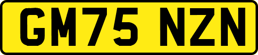GM75NZN