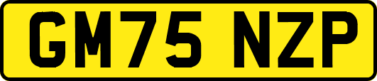 GM75NZP