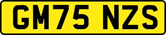 GM75NZS