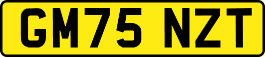 GM75NZT