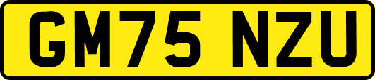 GM75NZU