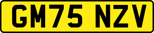 GM75NZV