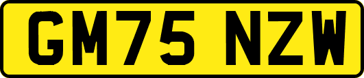 GM75NZW