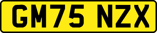 GM75NZX