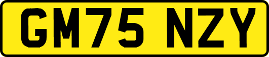 GM75NZY