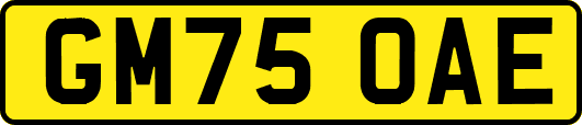 GM75OAE