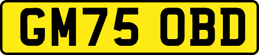 GM75OBD