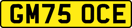GM75OCE