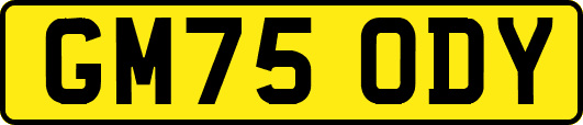 GM75ODY