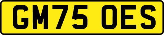 GM75OES