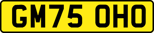 GM75OHO