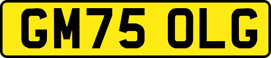 GM75OLG