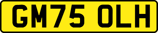 GM75OLH