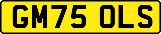 GM75OLS