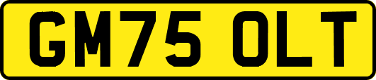 GM75OLT