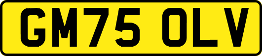 GM75OLV
