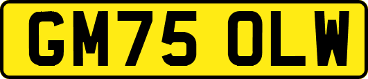 GM75OLW