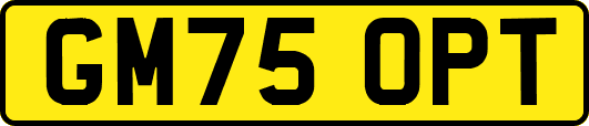 GM75OPT