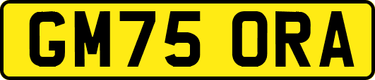 GM75ORA