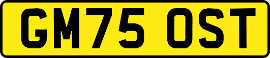 GM75OST