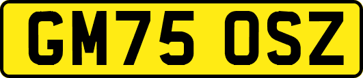 GM75OSZ