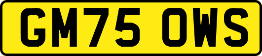 GM75OWS