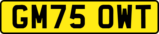GM75OWT