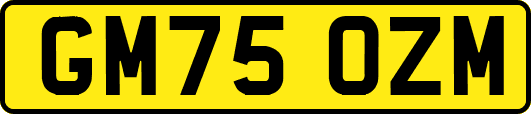 GM75OZM