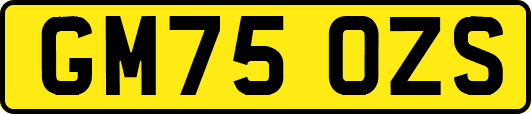 GM75OZS