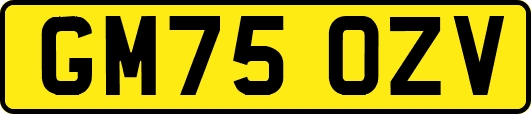 GM75OZV