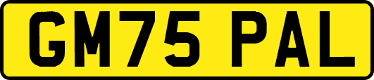 GM75PAL