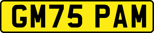 GM75PAM