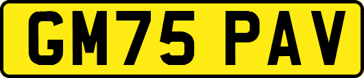 GM75PAV