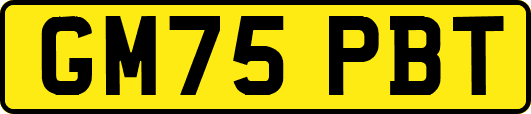 GM75PBT